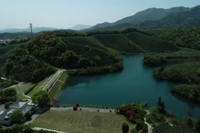 建設智慧生態(tài)茶園，托普云農(nóng)為西湖龍井茶“保駕護航”