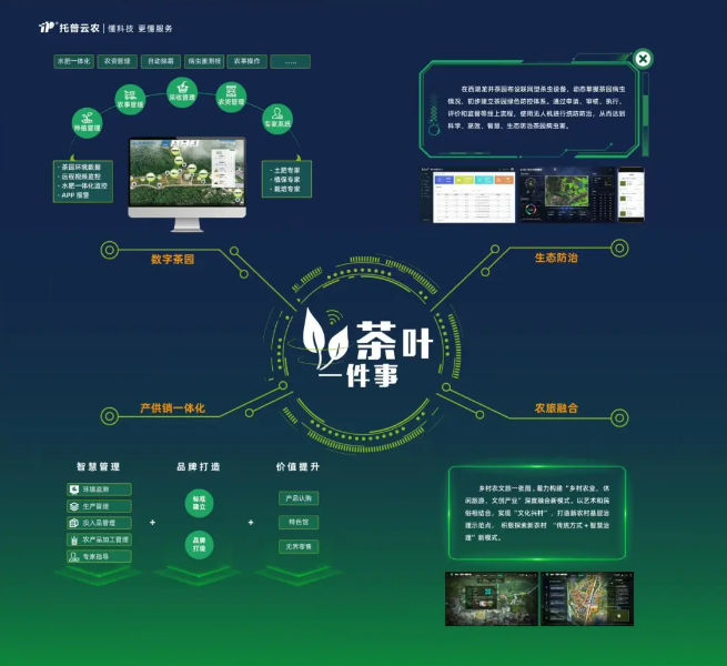 “數(shù)字”賦能茶產(chǎn)業(yè)，“茶葉一件事”續(xù)寫中國茶發(fā)展新模式